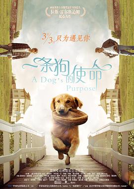 青青操精品
